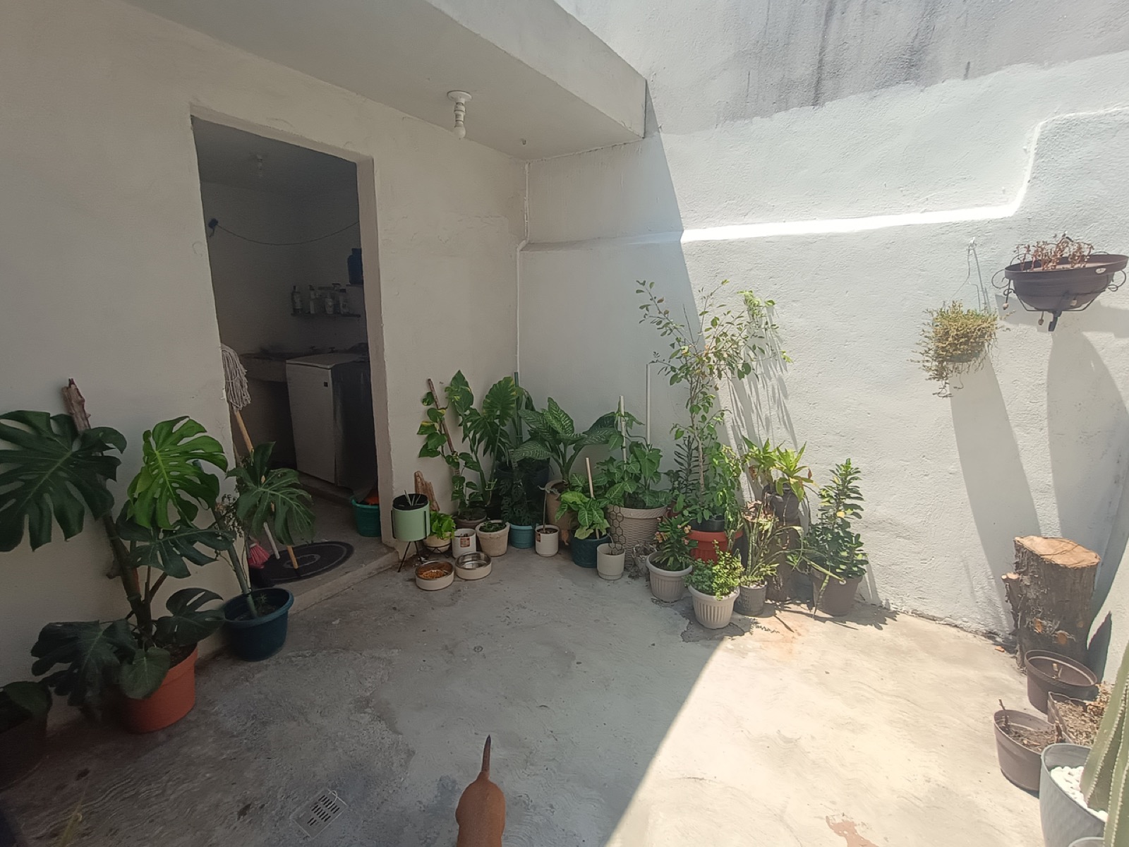 Casa en venta en Fracc. Balcones de Santa Rosa, Apodaca — foto 7