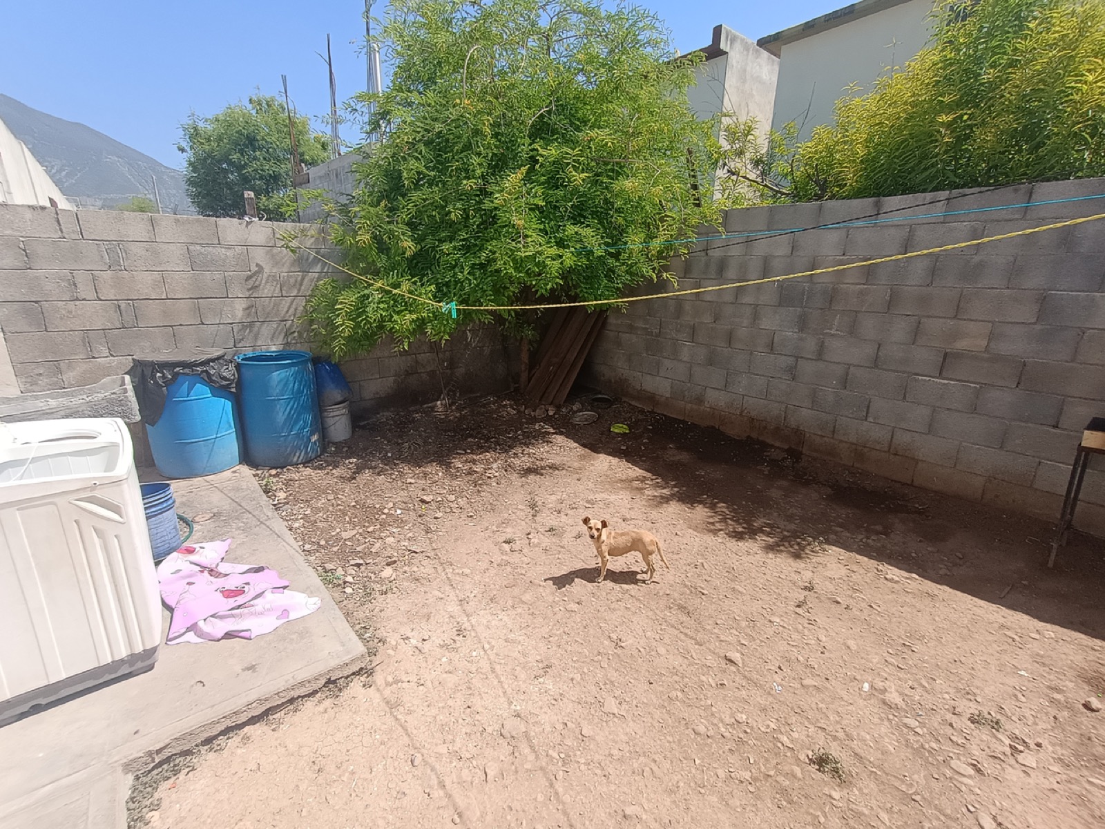 Casa en venta en Fracc. Laderas de San Miguel (Segunda Etapa), General Escobedo — foto 6
