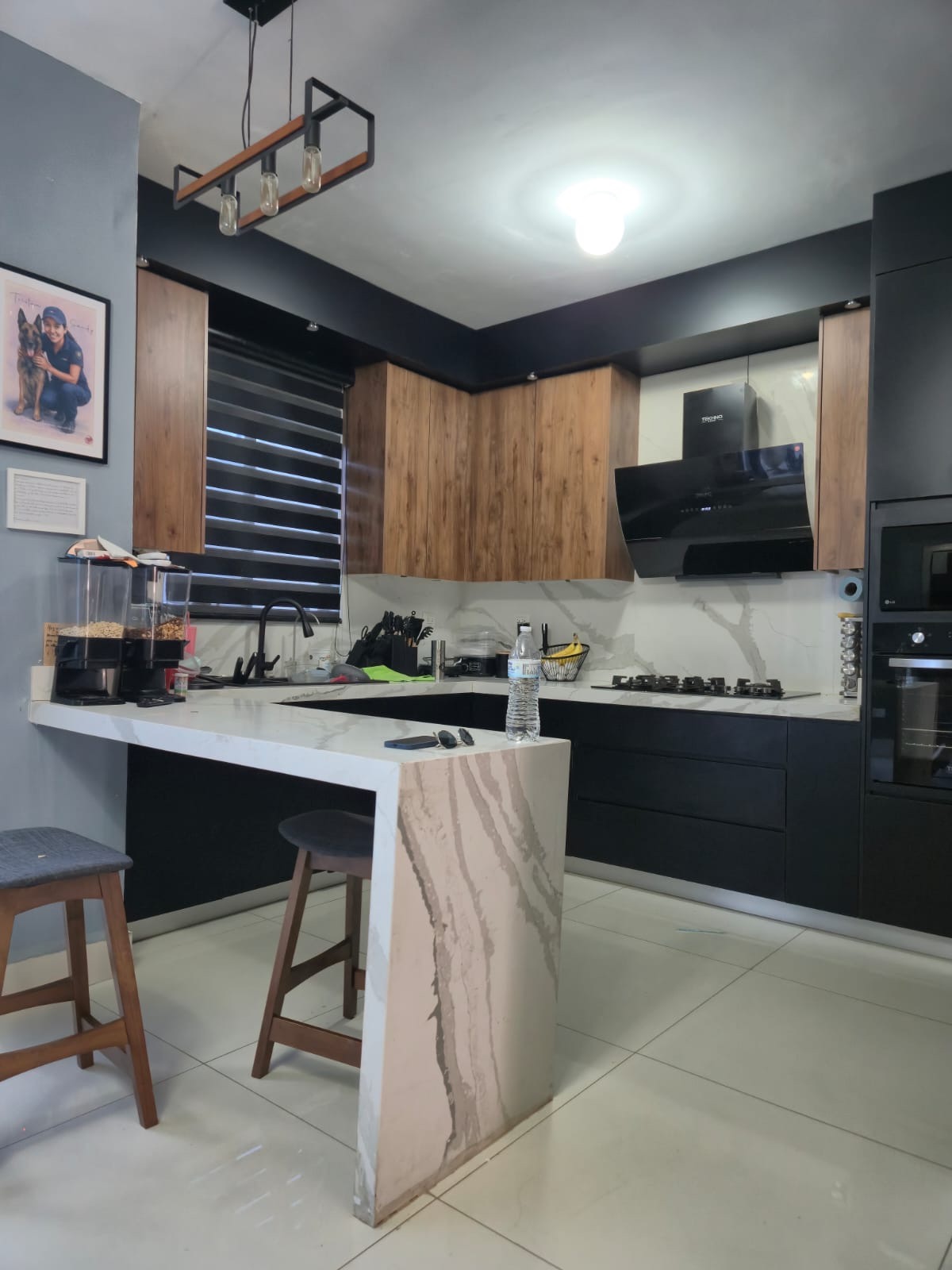 Casa en venta en Fraccionamiento Arbado Monarca, Apodaca — foto 5