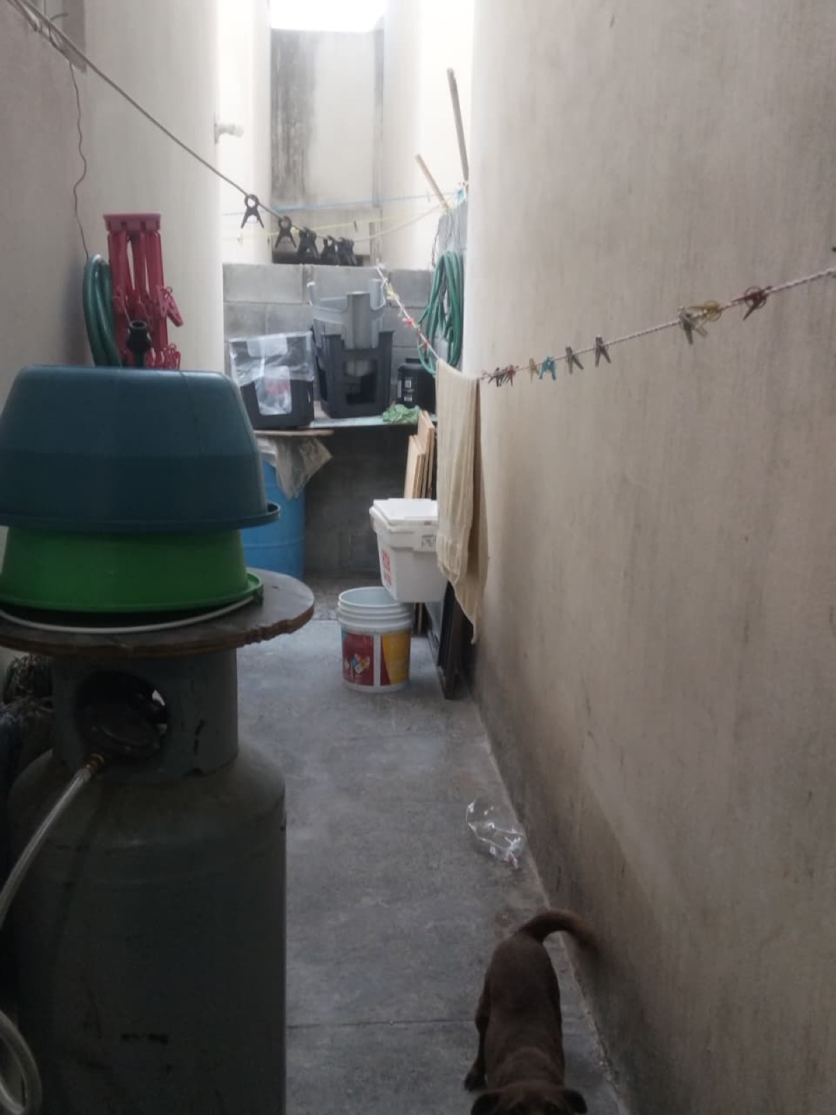 Casa en venta en Mora 1129, General Escobedo — foto 5