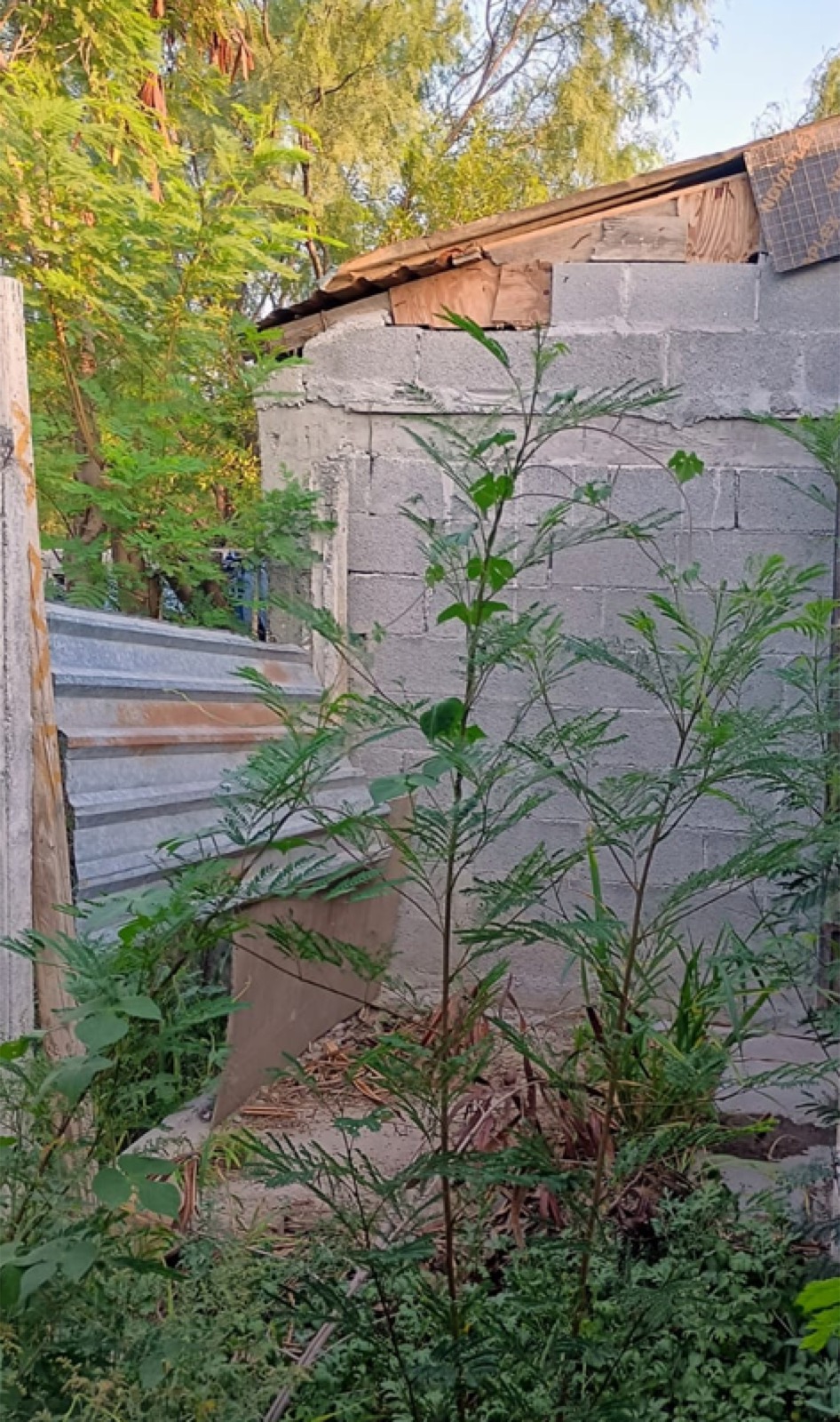 Casa en venta en Paseo del Norte, Salinas Victoria — foto 5