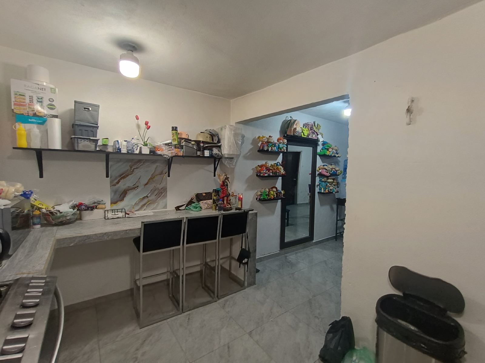 Casa en venta en Valle del Norte, Salinas Victoria — foto 11
